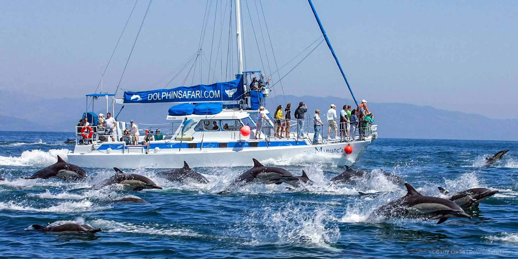 Dolphin watching in Sri Lanka