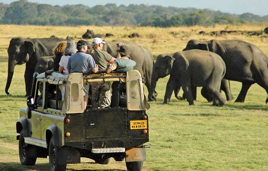 Sri Lanka safari route